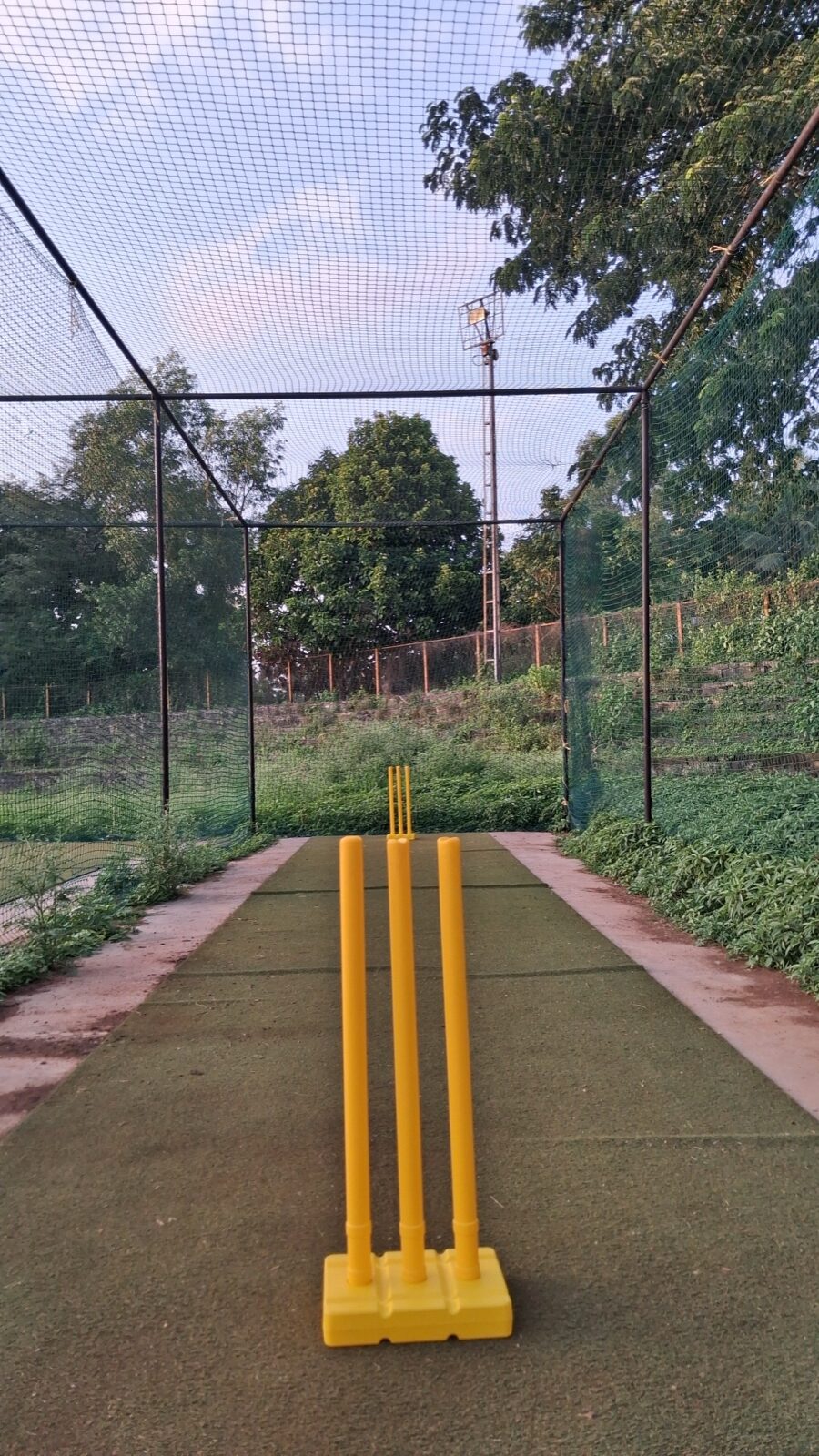 Low camera view where the near stumps dominate the frame and reduce pitch visibility.